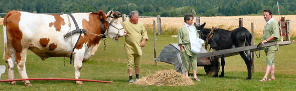 Foto: Kurt Scheuerer