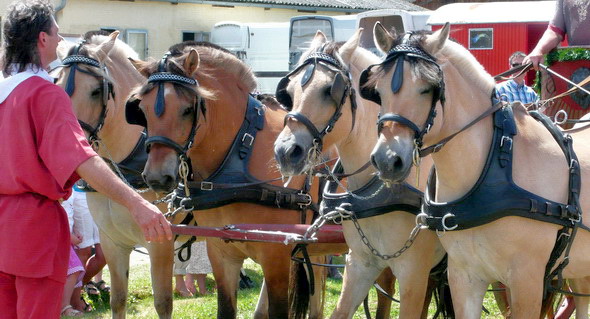 Foto: Kurt Scheuerer