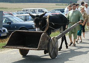 Foto: Kurt Scheuerer