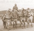 Donabauer mit Quadriga