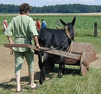 Foto: Kurt Scheuerer