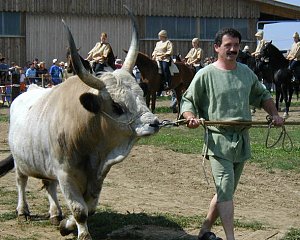 Foto: Kurt Scheuerer