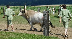 Foto: Kurt Scheuerer